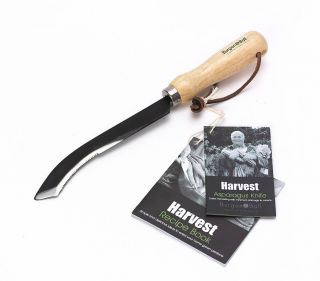 asparagus harvesting knife by freshly forked  