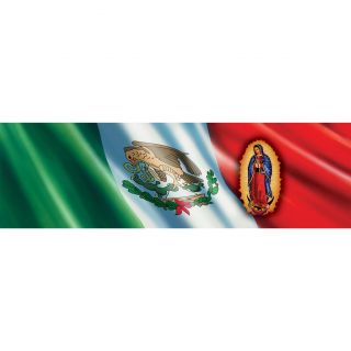 Vantage Point Concepts Lady of Guadalupe on Mexican Flag Original 