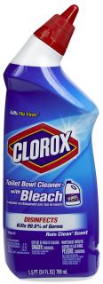 Clorox Toilet Bowl Cleaner Rain Clean 24oz   