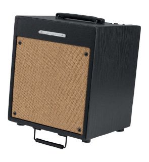 Ibanez T35 Troubadour Acoustic Guitar Amplifier (35 Watts, 1x10 in.)