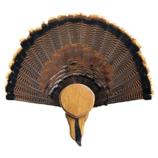 Gorilla Trophy Turkey Plaque   568414, Accessories at Sportsmans 