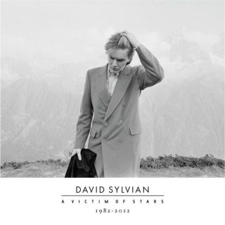 David Sylvian   A Victim of Stars 1982 2012 CD  TheHut 