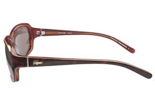Lacoste 12627 Brown  Lacoste Sunglasses   Coastal Contacts 