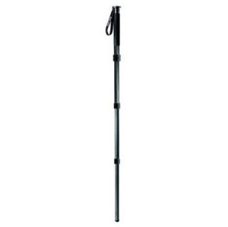 Gitzo GM5541 Monopod