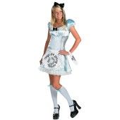 Alice in Wonderland Costume  Alice in Wonderland Halloween Costumes 