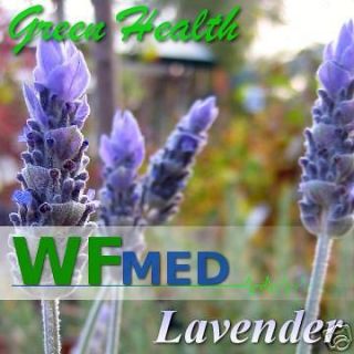 lavender essential oil 16 oz in Natural & Homeopathic Remedies