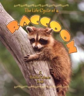 The Life Cycle of a Raccoon The Life Cycle by John Crossingham and 