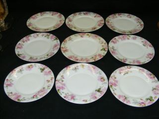 Hermann Ohme Silesia Set of 9 Plates   Pink Roses Design