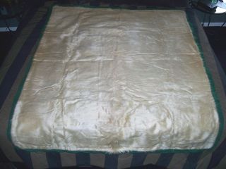 ANTIQUE VINTAGE SLEIGH/BUGGY BLANKET REAL HIDE 70 X 61 SHARP