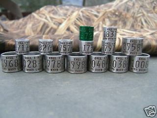 Laurel Md Duck/Goose 1 Reward Band bands decoy,calls,