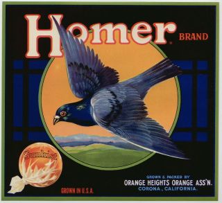 HOMER~PIGEON/BIRD~ORIGINAL 1940s AUTHENTIC CORONA CALIF ORANGE FRUIT 