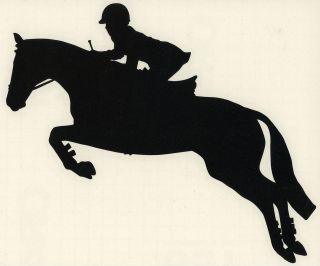 Med Black Hunter Jumper Jumping Sport Horse Pony Rider Equestrian 