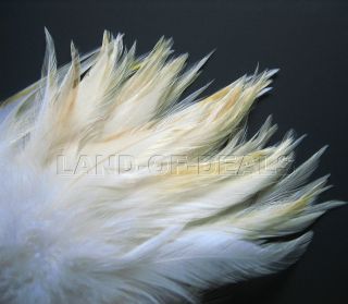70+ Bulk feathers Unique bleached rooster hackle feathers, 4 6” (10 