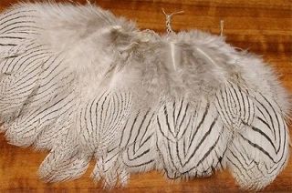 silver pheasant body feathers strung fly tying more options colors