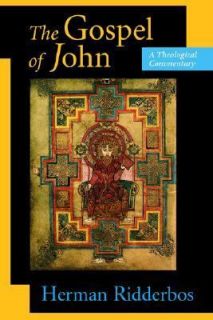 The Gospel of John A Theological Commentary by H. De Jongste and 