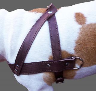 Pulling Real Leather Dog Harness 1.5 wide Brown 31 35 size PitBull 