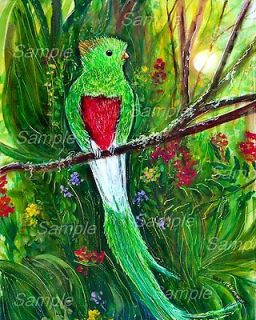   RESPLENDENT QUETZAL Bird PAINTING Jungle Parrot Kristine Kasheta ART