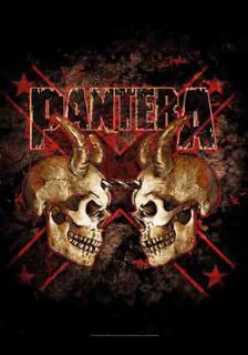 PANTERA DOUBLE SKULL Fabric Poster Oversized 30X40 Poster Flag NEW