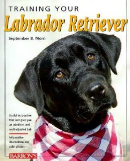 Labrador Retriever by September B. Morn 1999, Paperback