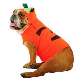 Zelda Pumpkin Dog Halloween Costume M Medium Jack o Lantern Clothes 