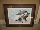 Artist Signed/Numbered Proof Southern Flight By Chris Forrest 