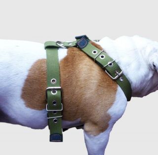 Walking Training Dog Harness Cotton Web 29 34.5 chest size Boxer 