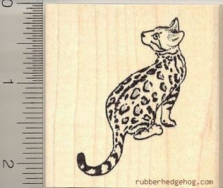 bengal cat rubber stamp h10004 wm domestic leopard time left