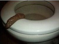 toilet prank fake human turd poop gag prank joke fart