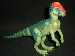 Jurassic Park Dinosaur Figures   Pachycephalosa​urus w/ Head 