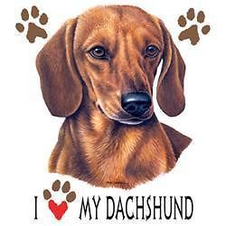 Dog Tshirt I Love My Dachshund Cute Puppy Pet Paw Canine Weiner