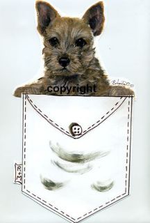 norwich terrier pup in a pocket t shirt time left