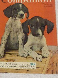 1940 english springer spaniel puppies mag cover 10 x 13