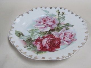 1890 s 1920 z s and co mignon rose plate