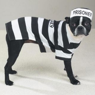 casual canine prison pooch halloween dog costume new more options