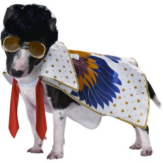 Nothin But A Hound Dog Pet Elvis Rock n Roll 70s Boy Halloween Dog 