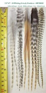   High Grade Feathers for Hair Extension, Fly Tying, W7801D 2, 7.5 8