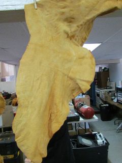    MOOSE HIDE HOME TANNED HIDE, SOFT BEST TANNED,NATIVE NORTH AMERICAN