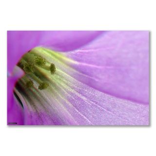 a3 small poster flower love plant oxalis triangularis time left