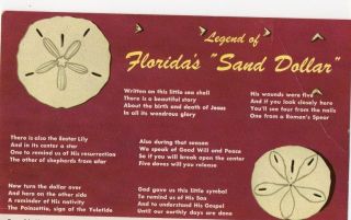   Legend of Floridas Sand Dollar, Religious, Sea Shells of FL postcard