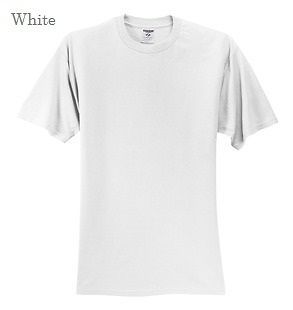 12 WHITE T SHIRTS   BLANK in BULK LOT from S XL wholesale (Pick your 