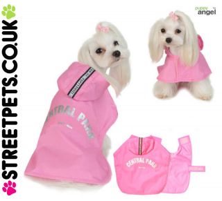 puppy angel pink central park dog raincoat clothes location united