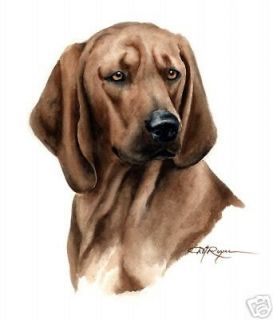 redbone coonhound watercolor art 5 x 7 print signed djr