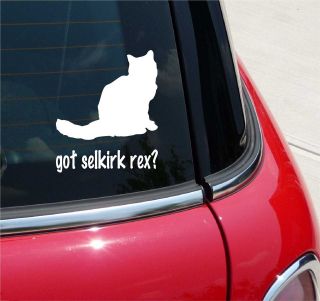 GOT SELKIRK REX? CAT GRAPHIC DECAL STICKER VINYL CAR WALL