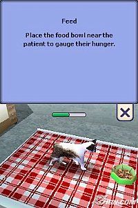 The Sims 2 Pets Nintendo DS, 2006