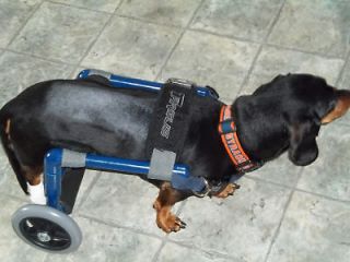 No Assembly  Custom Dog Wheelchairs/ Light Weight