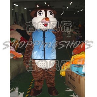 cute Squirrel cartoon MASCOT COSTUME R00453 Fancy Dress suit adult one 
