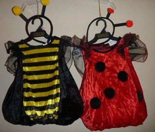   LADYBUG or BUMBLE BEE Costume infant Size 12 24 mo. headband Dress up