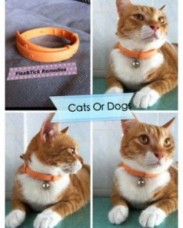 new flea tick remedies collar cats or dogs from hong