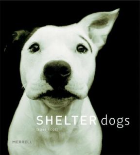 Shelter Dogs by Traer Scott (2006, Hardc