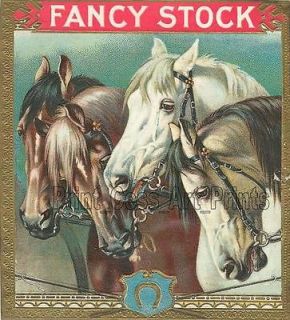 Vintage Cigar Box Labels 4 Prints Horses Fancy Stock Nutwood Prize 